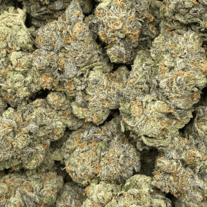 FORUM CUT COOKIES (EXOTIC) - Image 2