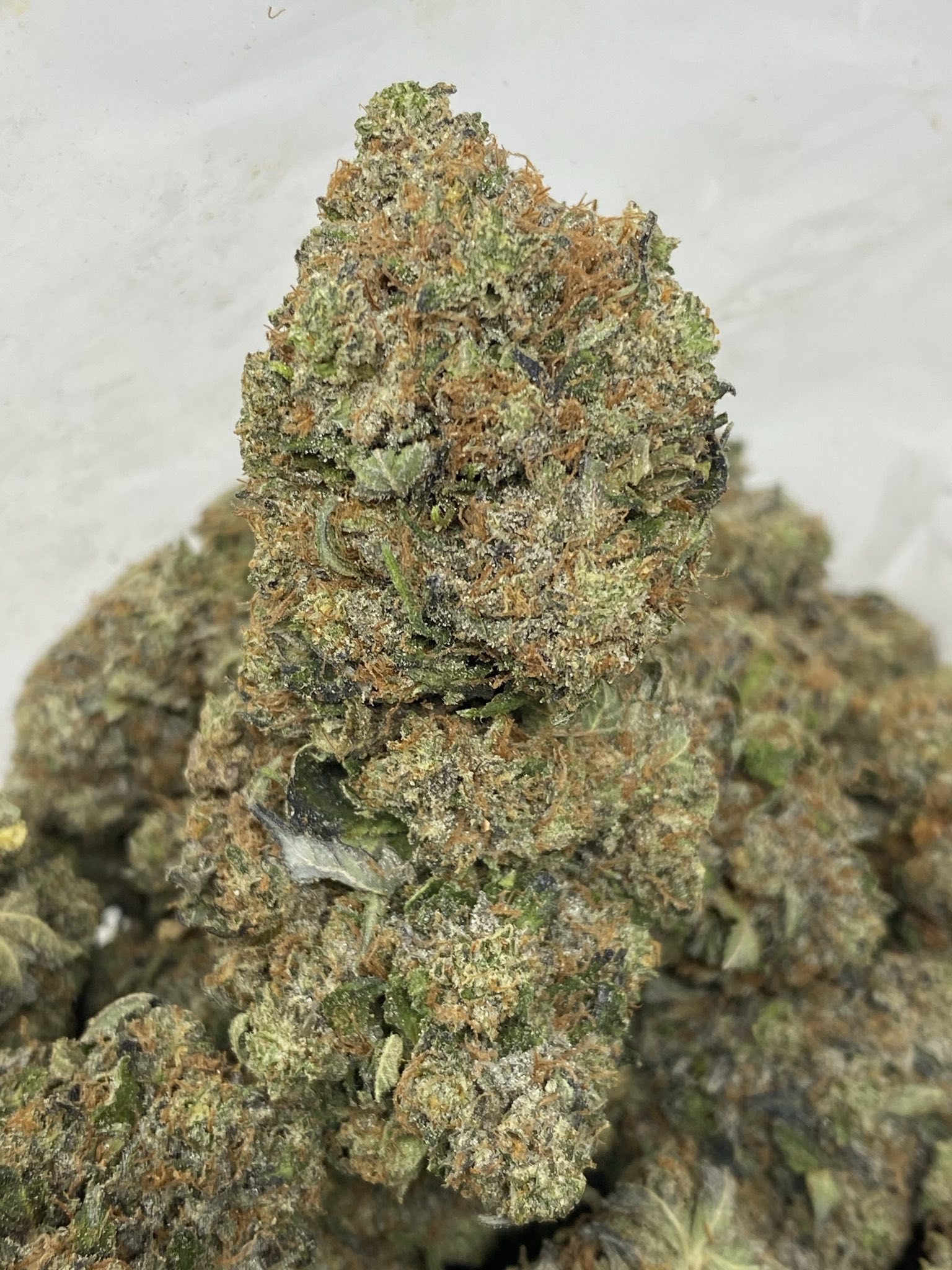 TUNA KUSH (GAS)