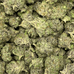 BUBBAS ROCKSTAR (SMALLS) (GAS) - Image 3