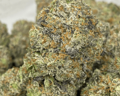 ACE OF PINK (MEGA GAS)