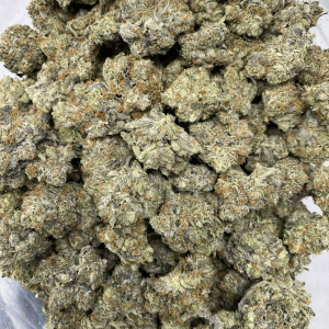 BLACK TUNA (MEGA GAS)