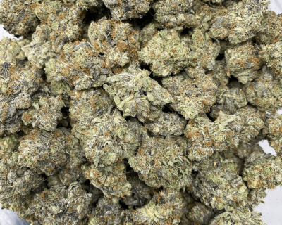 BLACK TUNA (MEGA GAS)
