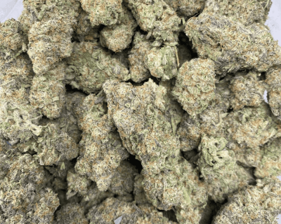 BLUEBERRY PANCAKES (EXOTIC) (DEAL OF THE WEEK) - Image 3