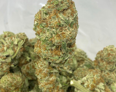 CITRUS FIELDS (SATIVA)