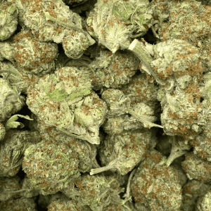 CITRUS FIELDS (SATIVA)