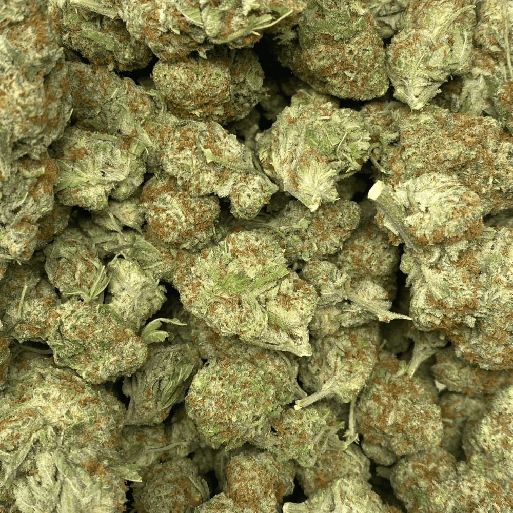 CITRUS FIELDS (SATIVA)