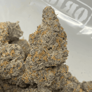 DOLATO LSO (EXOTIC DEAL) - Image 1