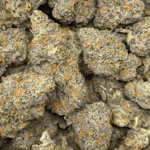 DOLATO LSO (EXOTIC DEAL) - Image 2