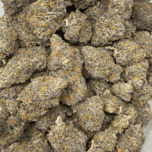 DOLATO LSO (EXOTIC DEAL) - Image 3