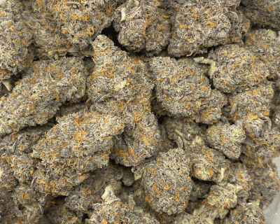 DOLATO LSO (EXOTIC) - Image 3
