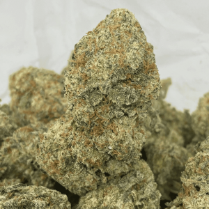 DONKEY BUTTER (EXOTIC)