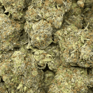 EXTRACTOR ROCKSTAR (GAS) (DEAL OF THE WEEK) - Image 2