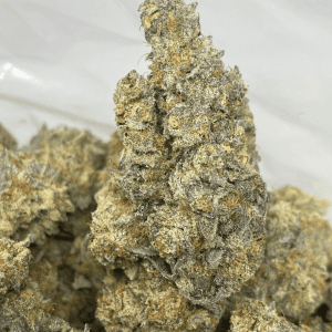 FROSTED JAM (EXOTICS)