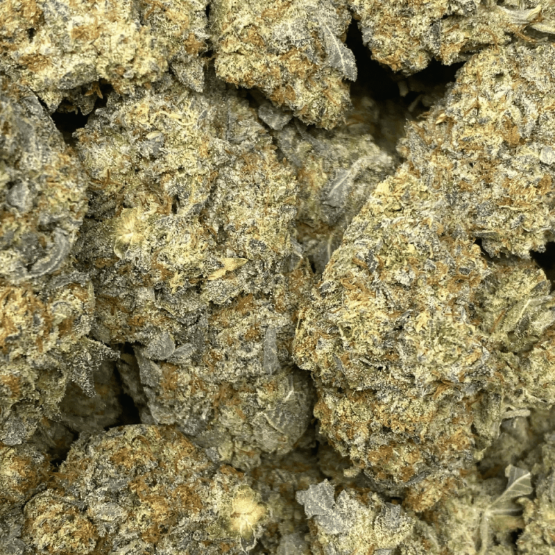 FROSTED JAM (EXOTICS)