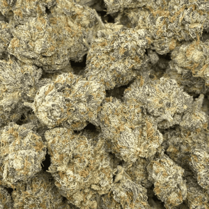 GOOEY GELATO LSO (EXOTIC) - Image 2