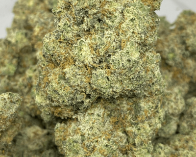 ICE CREAM CAKE (EXOTIC)