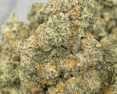 LONDON POUND CAKE (EXOTIC)
