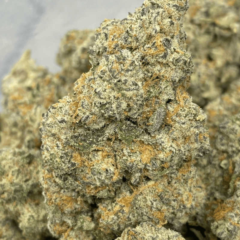 LONDON POUND CAKE (EXOTIC)