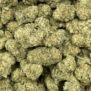 MODIFIED WIZARD V2 (EXOTIC) - Image 2