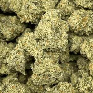 MODIFIED WIZARD V2 (EXOTIC) - Image 1