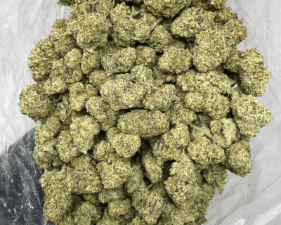 MODIFIED WIZARD V2 (EXOTIC) - Image 3