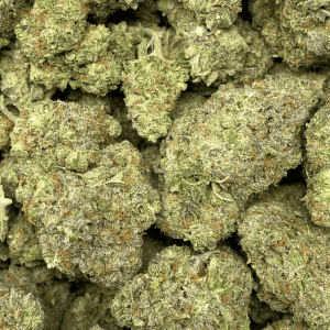 NUKEN (EXOTIC) - Image 2