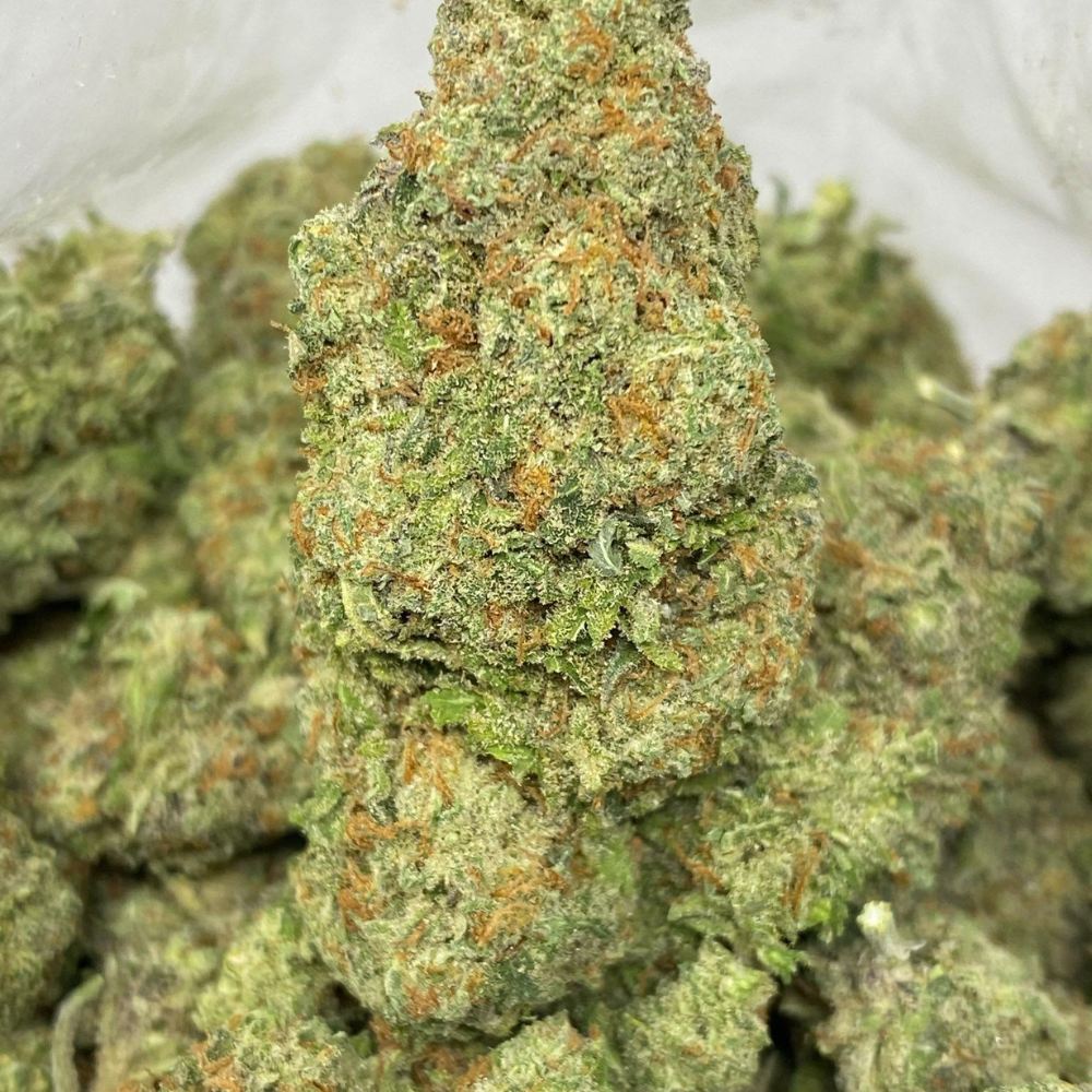 NUKEN (EXOTIC)