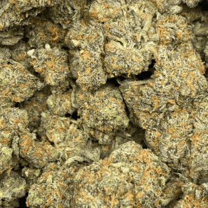 PEANUT BUTTER BREATH (EXOTIC) - Image 2