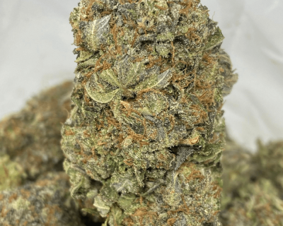 PINK BOBA FETT (GAS)