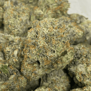 PINK BRAZZERS (MEGA GAS)