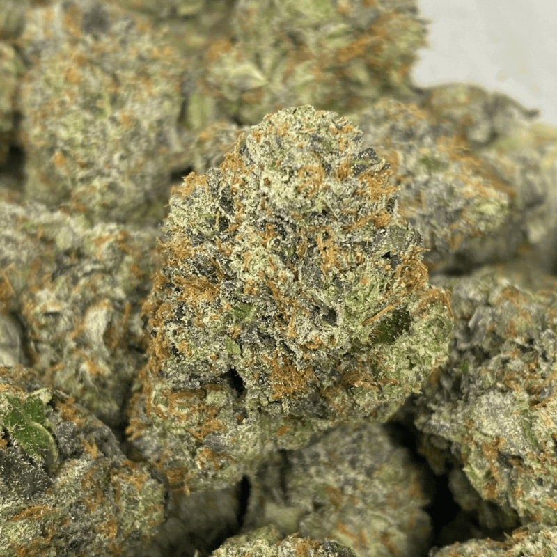 PINK BRAZZERS (MEGA GAS)