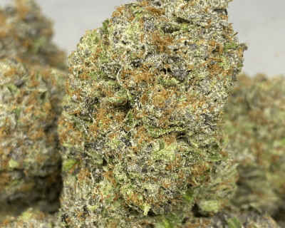 PINK GARGOYLE (MEGA GAS)