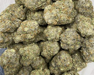 PINK GARGOYLE (MEGA GAS) (DEAL OF THE WEEK) - Image 3