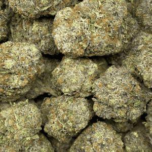 PINK GARGOYLE (MEGA GAS) (DEAL OF THE WEEK) - Image 2