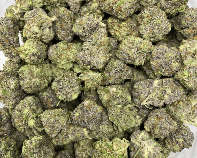 PINK GRENADE (GAS)
