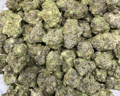 PINK REVOLVER (GAS)