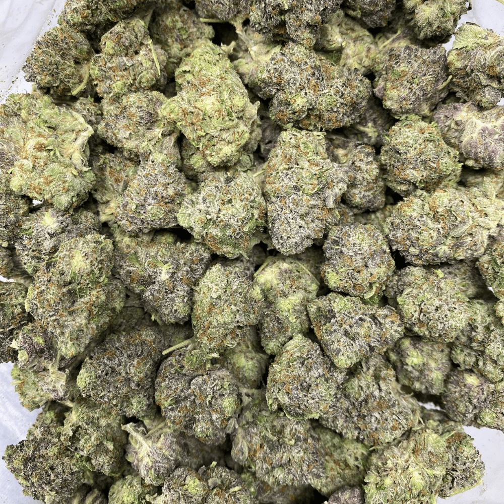PINK REVOLVER (GAS)