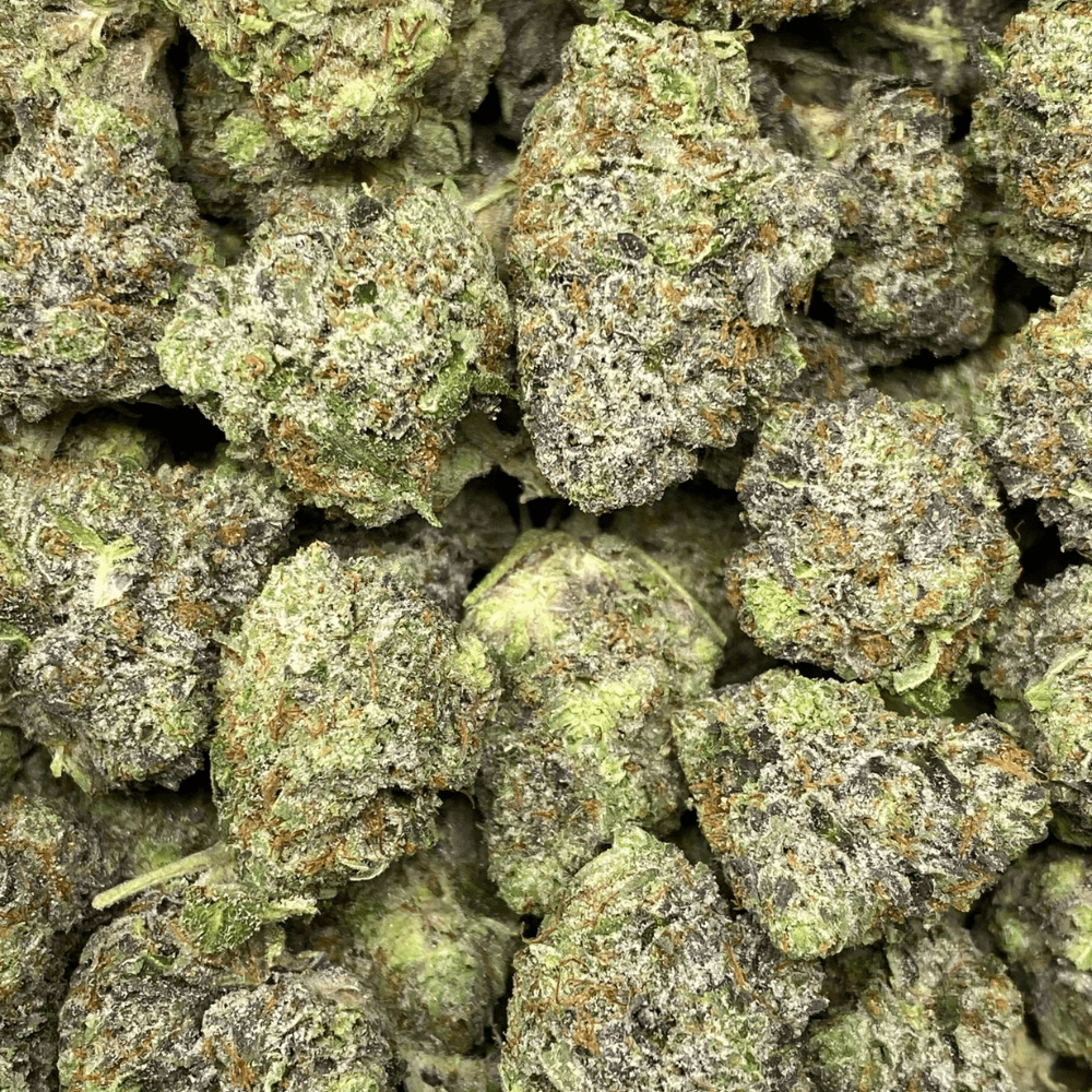 PINK REVOLVER (GAS)
