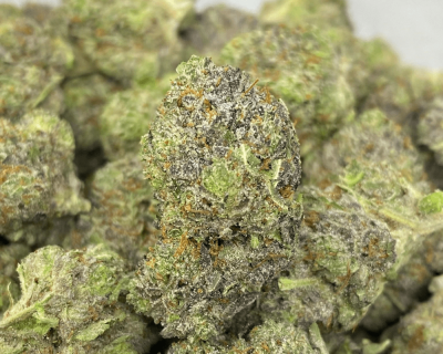PINK REVOLVER (GAS)
