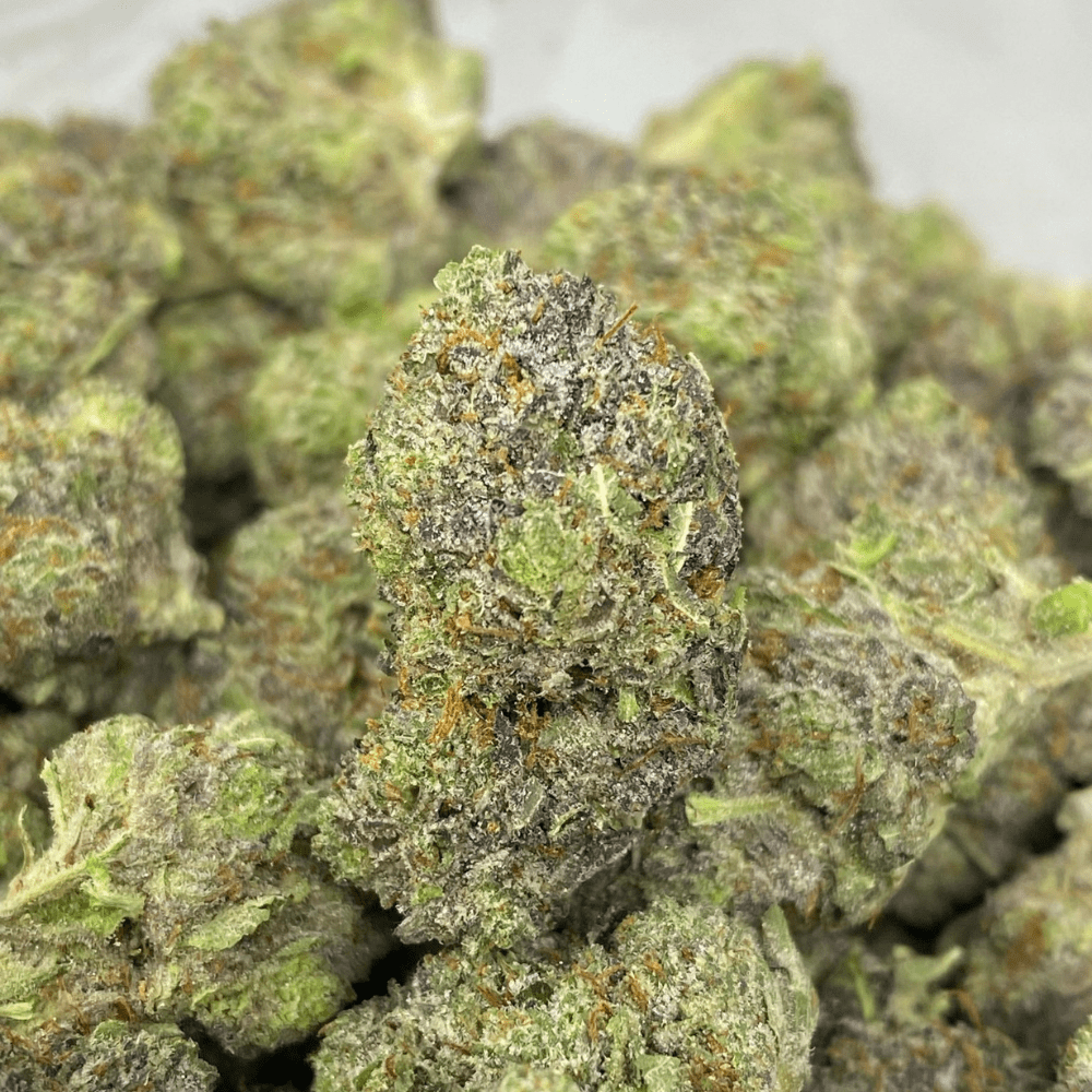 PINK REVOLVER (GAS)