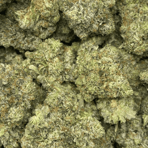 PINK STARION (MEGA GAS DEAL) - Image 2