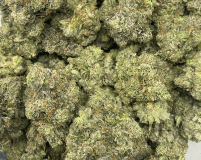 PINK STARION (MEGA GAS) - Image 3