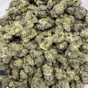 PINK TRUMP (SMALLS) (GAS) - Image 3