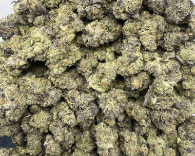 PINK TRUMP smalls (GAS) - Image 3