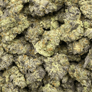 PINK TRUMP (SMALLS) (GAS) - Image 2