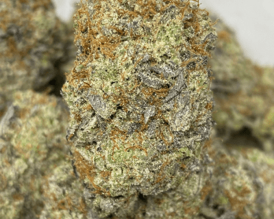 PLATINUM DANK (EXOTICS)