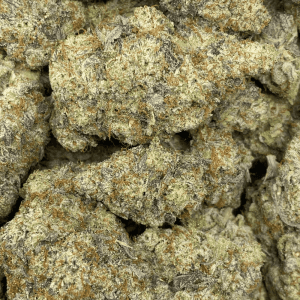 PLATINUM DANK (EXOTIC DEAL) - Image 2