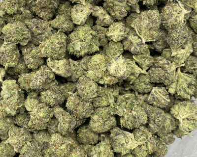 PURPLE ROCKSTAR (SMALLS) (GAS) - Image 3