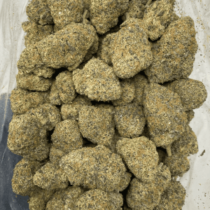 RAINBOW CHIP (EXOTIC DEAL) - Image 3