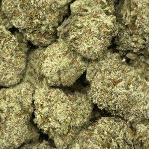 SPACE MONKEY (EXOTIC) - Image 2